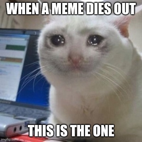 It was last uploaded 8 years ago.. so I used it | WHEN A MEME DIES OUT; THIS IS THE ONE | image tagged in crying cat | made w/ Imgflip meme maker