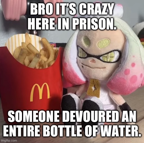 Day 2 of being in prison. | BRO IT’S CRAZY HERE IN PRISON. SOMEONE DEVOURED AN ENTIRE BOTTLE OF WATER. | image tagged in fry,splatoon,memes | made w/ Imgflip meme maker