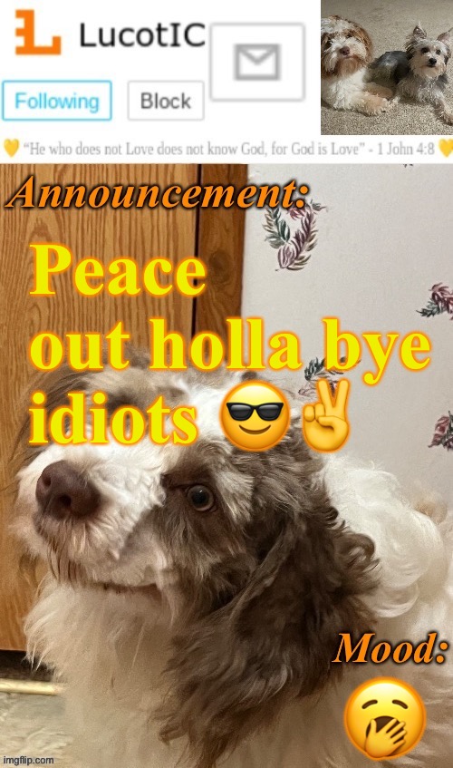 . | Peace out holla bye idiots 😎✌️; 🥱 | image tagged in lucotic s fangz announcement temp thanks strike | made w/ Imgflip meme maker