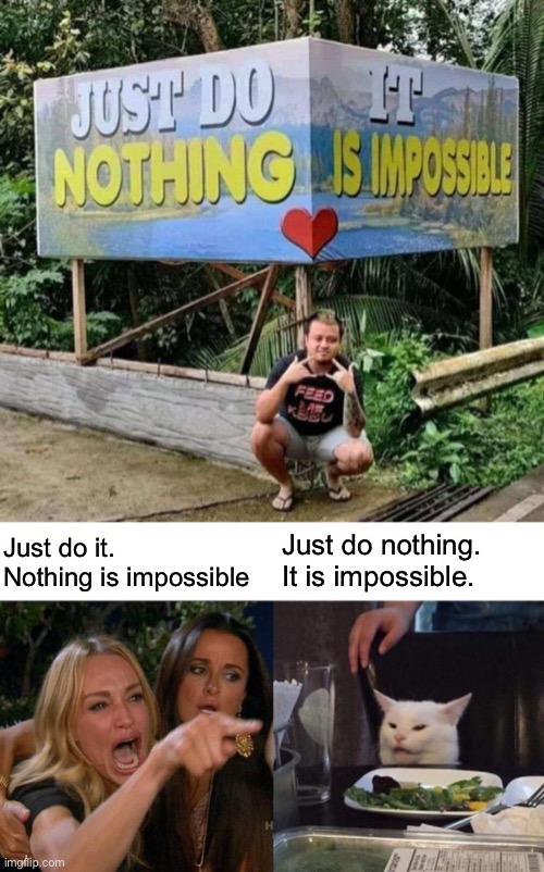 Just do nothing. It is impossible. Just do it. Nothing is impossible | image tagged in memes,woman yelling at cat | made w/ Imgflip meme maker