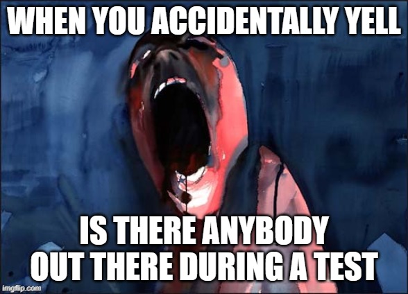 Pink Floyd Scream | WHEN YOU ACCIDENTALLY YELL; IS THERE ANYBODY OUT THERE DURING A TEST | image tagged in pink floyd scream | made w/ Imgflip meme maker