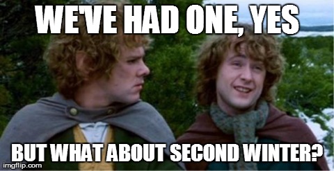 Merry and Pippin | WE'VE HAD ONE, YES BUT WHAT ABOUT SECOND WINTER? | image tagged in merry and pippin | made w/ Imgflip meme maker