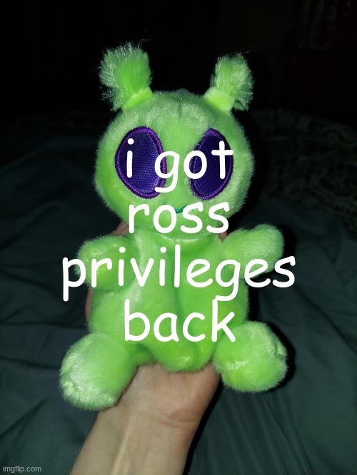 ross the alien plushie | i got ross privileges back | image tagged in ross the alien plushie | made w/ Imgflip meme maker