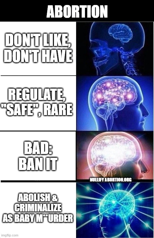 Evolve your views on abortion | ABORTION; DON'T LIKE, DON'T HAVE; REGULATE, "SAFE", RARE; BAD: BAN IT; NULLIFY ABORTION.ORG; ABOLISH & CRIMINALIZE AS BABY M**URDER | image tagged in memes,expanding brain,abortion,abolition,prolife | made w/ Imgflip meme maker