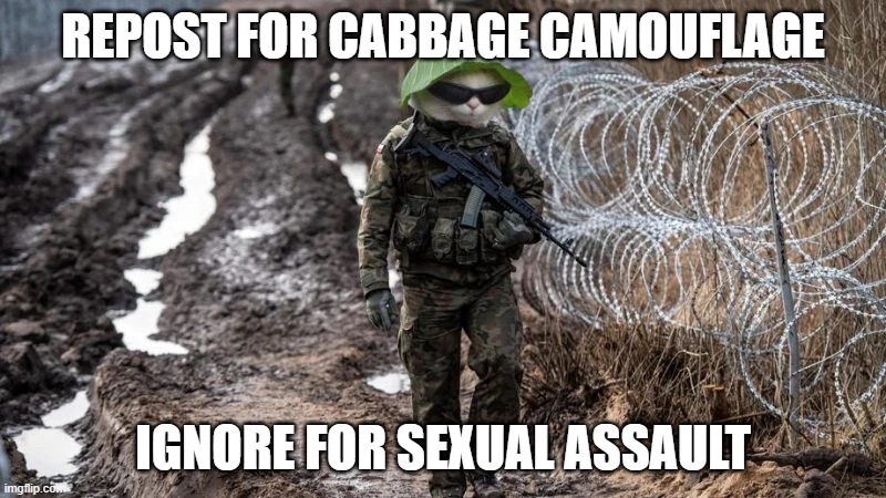 REPOST FOR CABBAGE CAMOUFLAGE; IGNORE FOR SEXUAL ASSAULT | made w/ Imgflip meme maker