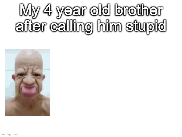 true | My 4 year old brother after calling him stupid | made w/ Imgflip meme maker