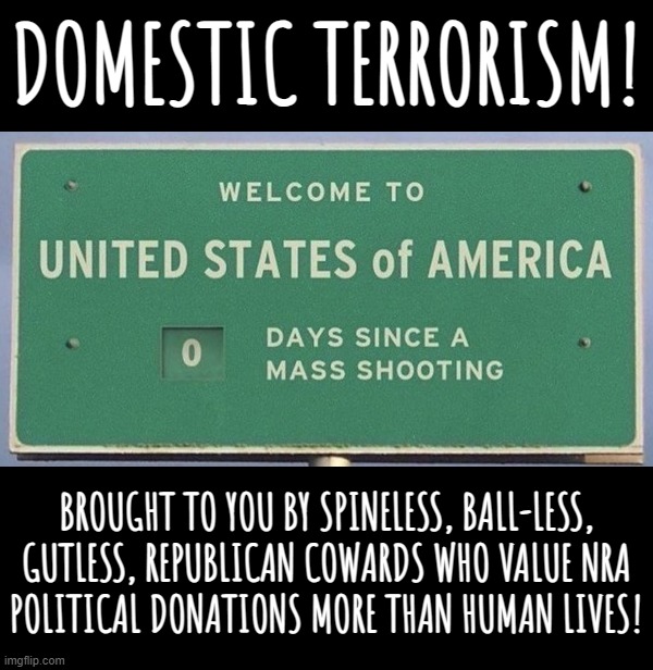 Domestic Terrorism... | image tagged in domestic violence,terrorism | made w/ Imgflip meme maker