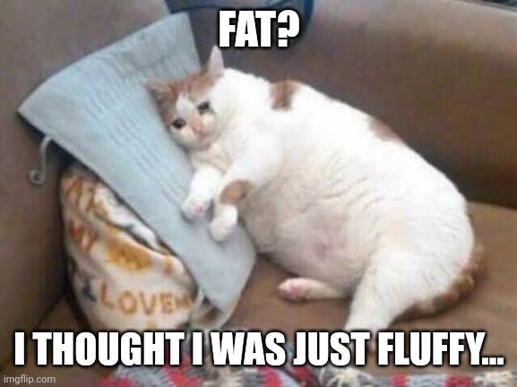 Sad fat cat | FAT? I THOUGHT I WAS JUST FLUFFY... | image tagged in sad fat cat | made w/ Imgflip meme maker