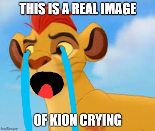I swear to God it's not edited | THIS IS A REAL IMAGE; OF KION CRYING | image tagged in extreme crying kion crybaby | made w/ Imgflip meme maker
