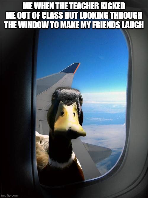 Me when I get kicked out of class | ME WHEN THE TEACHER KICKED ME OUT OF CLASS BUT LOOKING THROUGH THE WINDOW TO MAKE MY FRIENDS LAUGH | image tagged in duck plane window,teacher,school,funny | made w/ Imgflip meme maker