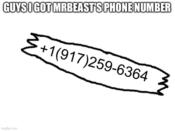 hell yeah | GUYS I GOT MRBEAST'S PHONE NUMBER; +1(917)259-6364 | image tagged in mr beast,phone number,legit | made w/ Imgflip meme maker