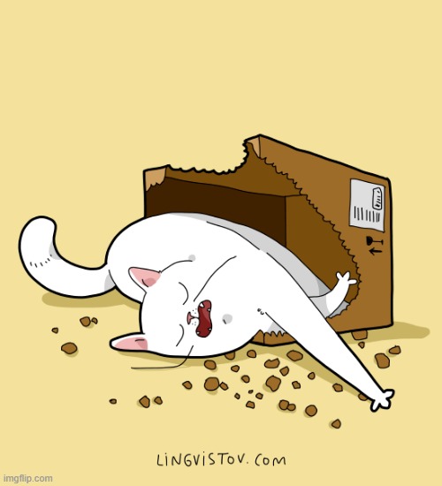 A Cat's Way Of Thinking | image tagged in memes,comics/cartoons,cats,eat,box,i sleep | made w/ Imgflip meme maker