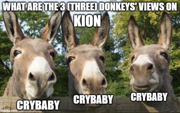 What are the 3 (three) donkeys' views on X | KION; CRYBABY; CRYBABY; CRYBABY | image tagged in what are the 3 three donkeys' views on x | made w/ Imgflip meme maker