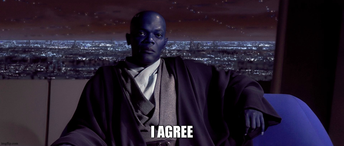 Mace Windu I agree | I AGREE | image tagged in mace windu i agree | made w/ Imgflip meme maker