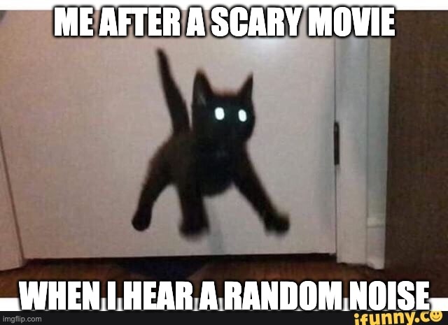 ME AFTER A SCARY MOVIE; WHEN I HEAR A RANDOM NOISE | image tagged in too funny | made w/ Imgflip meme maker