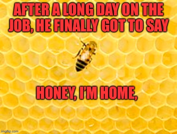 Honey | image tagged in bad pun | made w/ Imgflip meme maker