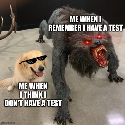 dog vs werewolf | ME WHEN I REMEMBER I HAVE A TEST; ME WHEN I THINK I DON'T HAVE A TEST | image tagged in dog vs werewolf | made w/ Imgflip meme maker