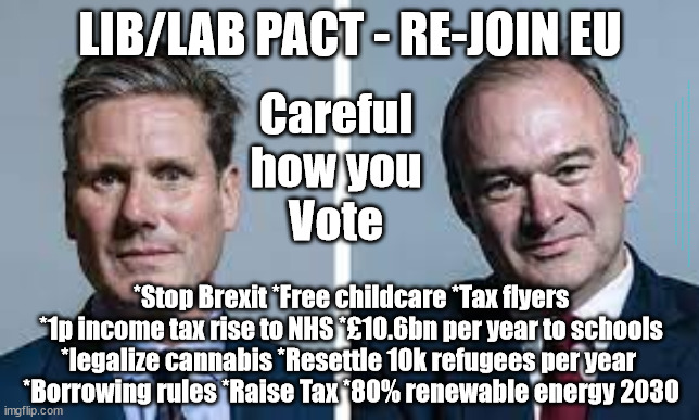 Lib/Lab Pact - Lib Dem Manifesto | LIB/LAB PACT - RE-JOIN EU; Careful
how you
Vote; #Immigration #Starmerout #Labour #JonLansman #wearecorbyn #KeirStarmer #DianeAbbott #McDonnell #cultofcorbyn #labourisdead #Momentum #labourracism #socialistsunday #nevervotelabour #socialistanyday #Antisemitism #Savile #SavileGate #Paedo #Worboys #GroomingGangs #Paedophile #IllegalImmigration #Immigrants #Invasion #StarmerResign #Starmeriswrong #SirSoftie #SirSofty #PatCullen #Cullen #RCN #nurse #nursing #strikes #SueGray #LibDemPact #EdDavey; *Stop Brexit *Free childcare *Tax flyers *1p income tax rise to NHS *£10.6bn per year to schools *legalize cannabis *Resettle 10k refugees per year 
*Borrowing rules *Raise Tax *80% renewable energy 2030 | image tagged in starmer davey,stop brexit re join eu,labourisdead,legalise cannanis,tax rises,illegal immigration | made w/ Imgflip meme maker
