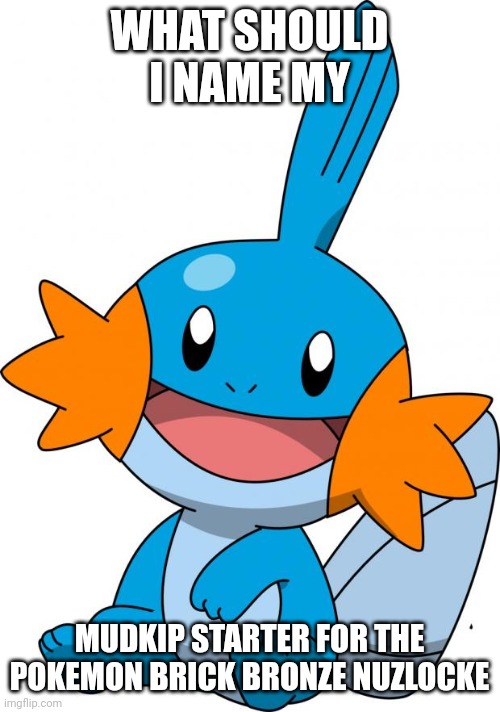 Mudkip | WHAT SHOULD I NAME MY; MUDKIP STARTER FOR THE POKEMON BRICK BRONZE NUZLOCKE | image tagged in mudkip | made w/ Imgflip meme maker