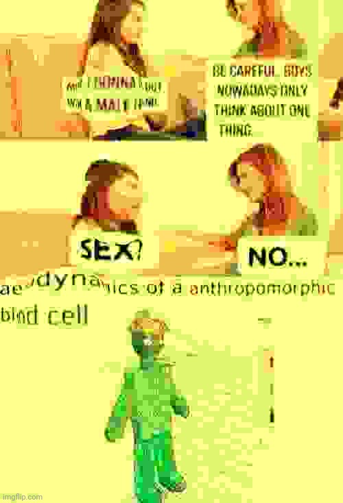 Aerodynamics of a anthropomorphic blood cell | made w/ Imgflip meme maker