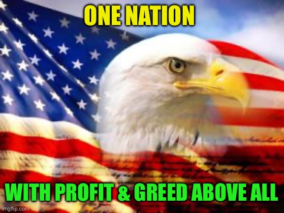 American Flag | ONE NATION WITH PROFIT & GREED ABOVE ALL | image tagged in american flag | made w/ Imgflip meme maker