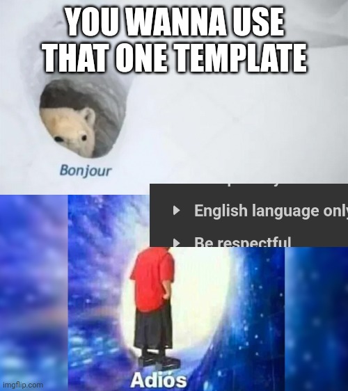 bonjur adios | YOU WANNA USE THAT ONE TEMPLATE | image tagged in bonjur adios | made w/ Imgflip meme maker