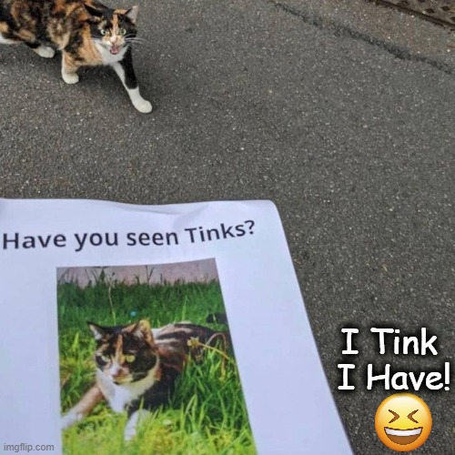 And you know she is named Tinks for a reason... | I Tink 
I Have! | image tagged in fun,funny meme,missing,cat,coincidence,imgflip humor | made w/ Imgflip meme maker