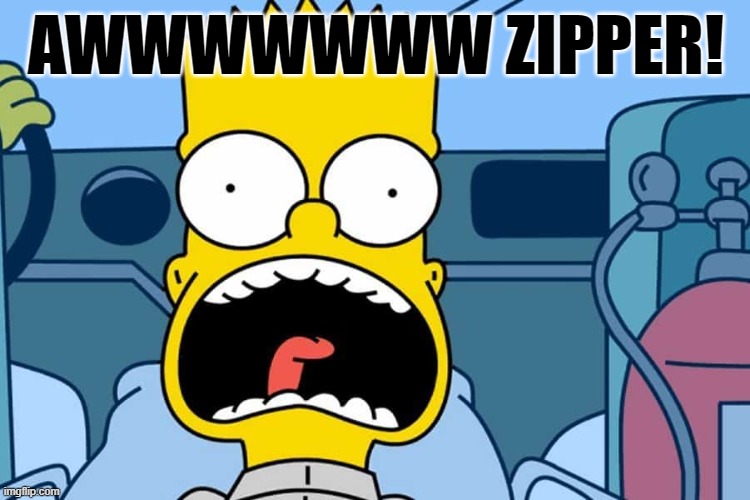 bart | AWWWWWWW ZIPPER! | image tagged in bart | made w/ Imgflip meme maker