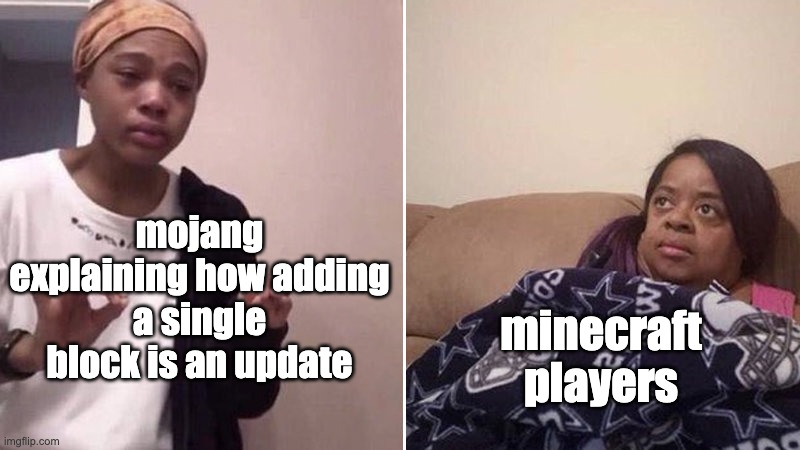 FR | mojang explaining how adding a single block is an update; minecraft players | image tagged in me explaining to my mom | made w/ Imgflip meme maker
