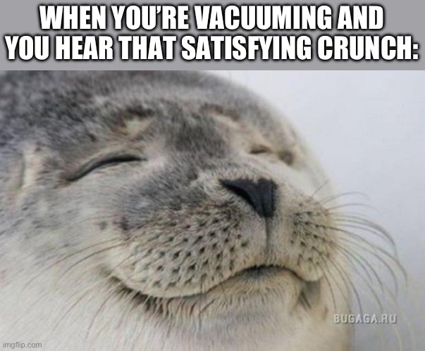 The piece of cereal I just vacuumed up goes CRUNCH CRUNCH CRUNCH | WHEN YOU’RE VACUUMING AND YOU HEAR THAT SATISFYING CRUNCH: | image tagged in happy seal,vacuum | made w/ Imgflip meme maker