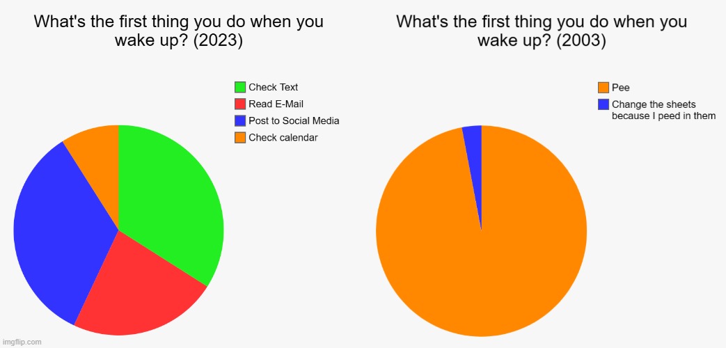 Remember when you had time to pee in the morning | image tagged in charts,pie charts,pie chart meme,morning,pee | made w/ Imgflip meme maker