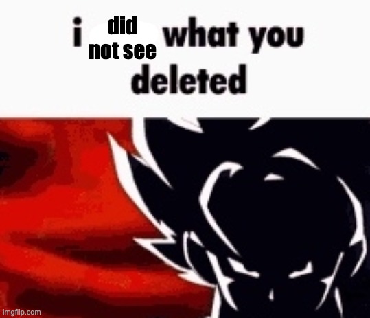 i saw what you deleted | did not see | image tagged in i saw what you deleted | made w/ Imgflip meme maker