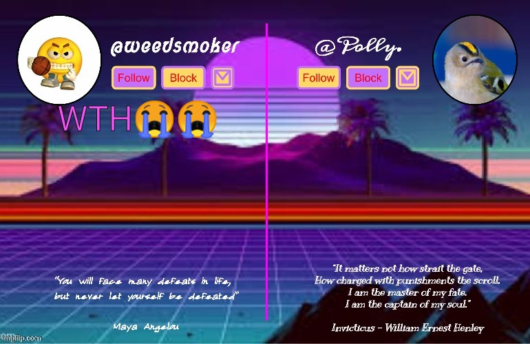 im confused noww | WTH😭😭 | image tagged in polly/weedsmoker shared temp thanks del | made w/ Imgflip meme maker