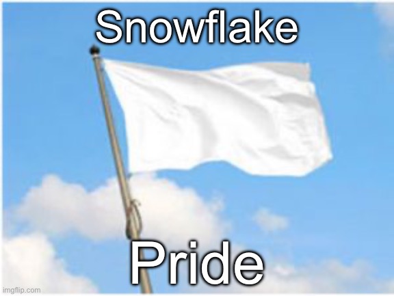 White flag | Snowflake; Pride | image tagged in white flag,libtards,liberal logic,stupid liberals,snowflakes,snowflake | made w/ Imgflip meme maker