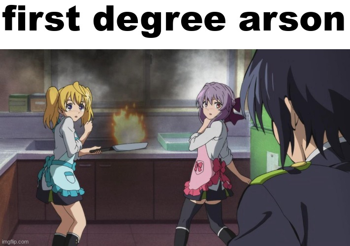 anime girls stove on fire | first degree arson | image tagged in anime girls stove on fire | made w/ Imgflip meme maker