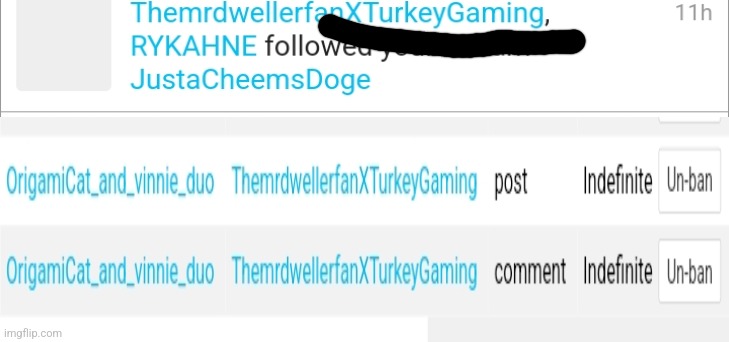 I didn't realize that was a Turkey_gaming alt until reading the full name | image tagged in turkey,banned | made w/ Imgflip meme maker