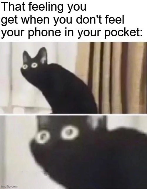 This is why I don't bring my phone anywhere in the first place... | That feeling you get when you don't feel your phone in your pocket: | image tagged in oh no black cat | made w/ Imgflip meme maker