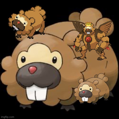 Bidoof | image tagged in bidoof | made w/ Imgflip meme maker