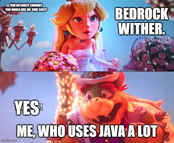 bedrock wither is op | YOU ACTUALLY THOUGHT YOU COULD KILL ME THAT EASY? BEDROCK WITHER. YES; ME, WHO USES JAVA A LOT | image tagged in kinda | made w/ Imgflip meme maker