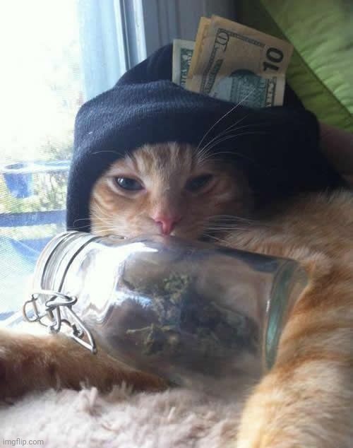 bitch got more money than me bruh,,, | made w/ Imgflip meme maker