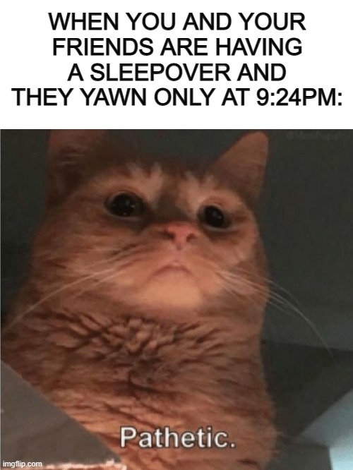 Truly pathetic U-U | WHEN YOU AND YOUR FRIENDS ARE HAVING A SLEEPOVER AND THEY YAWN ONLY AT 9:24PM: | image tagged in blank white template,pathetic cat | made w/ Imgflip meme maker