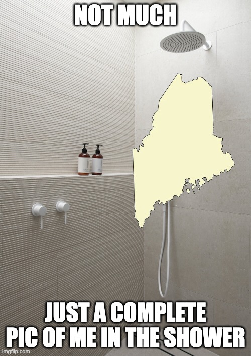 Not much | NOT MUCH; JUST A COMPLETE PIC OF ME IN THE SHOWER | image tagged in shower,maine,pun | made w/ Imgflip meme maker
