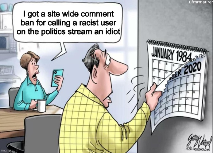 I’ve seen WAY worse than “idiot” plus he was being an idiot | I got a site wide comment ban for calling a racist user on the politics stream an idiot | image tagged in 1984 calendar | made w/ Imgflip meme maker