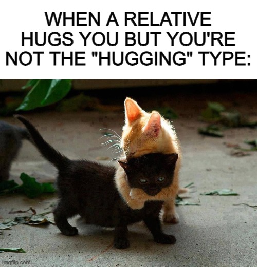 Me right there XD | WHEN A RELATIVE HUGS YOU BUT YOU'RE NOT THE "HUGGING" TYPE: | image tagged in blank white template,kitten hug | made w/ Imgflip meme maker