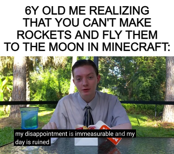 I was so disappointed when I realized that it wasn't true... | 6Y OLD ME REALIZING THAT YOU CAN'T MAKE ROCKETS AND FLY THEM TO THE MOON IN MINECRAFT: | image tagged in blank white template,my disappointment is immeasurable | made w/ Imgflip meme maker