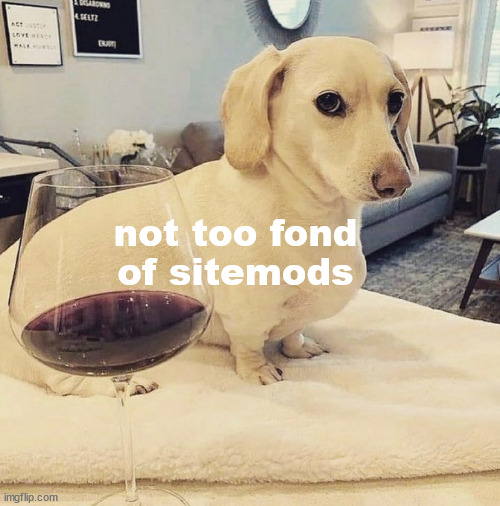 Homophobic Dog | not too fond of sitemods | image tagged in homophobic dog | made w/ Imgflip meme maker