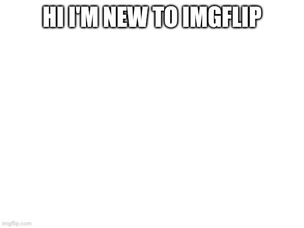 HI I'M NEW TO IMGFLIP | image tagged in hi | made w/ Imgflip meme maker