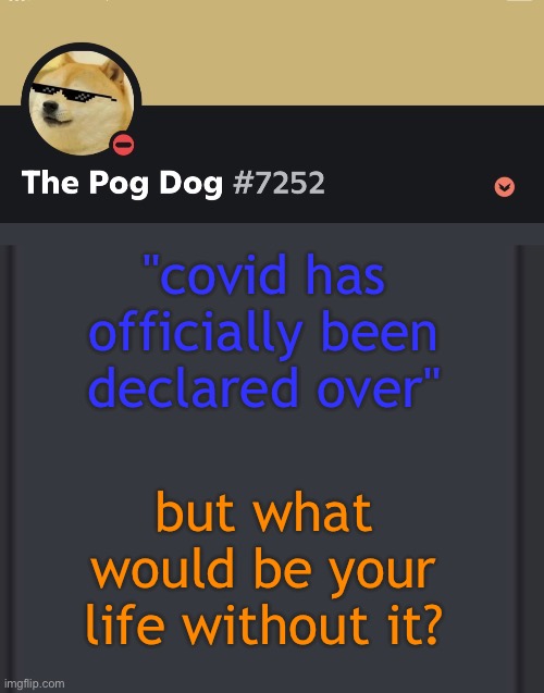 For me, i'd prolly not have an addiction to this site and still have a close relationship with my family | "covid has officially been declared over"; but what would be your life without it? | image tagged in epic doggos epic discord temp | made w/ Imgflip meme maker