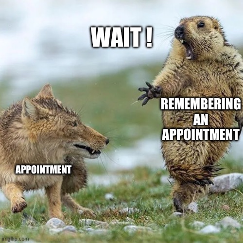 Oh! | WAIT ! REMEMBERING AN APPOINTMENT; APPOINTMENT | image tagged in unstable beaver,adhd | made w/ Imgflip meme maker