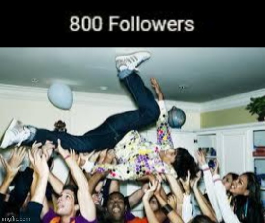 Party party party | image tagged in party,800,followers,tifflamemez,memes,imgflip user | made w/ Imgflip meme maker